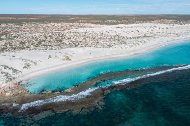istock Idyllic seascape with blue water and white sand beach 1445659386