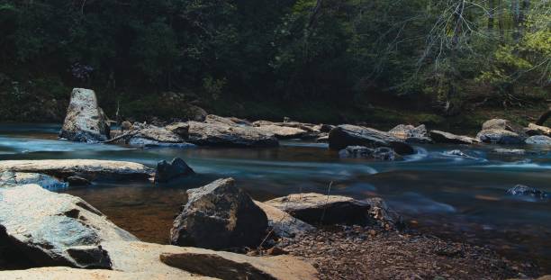 istock Huge rocky stones on the beach by water and trees 1445660286