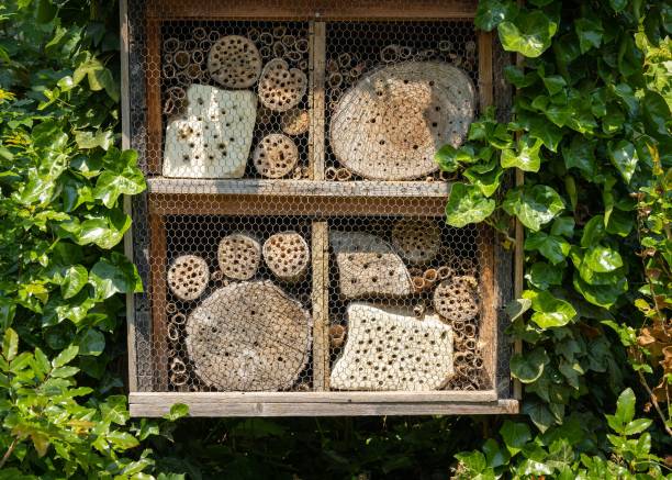 Wooden insect hotel in the garden surrounded by plants