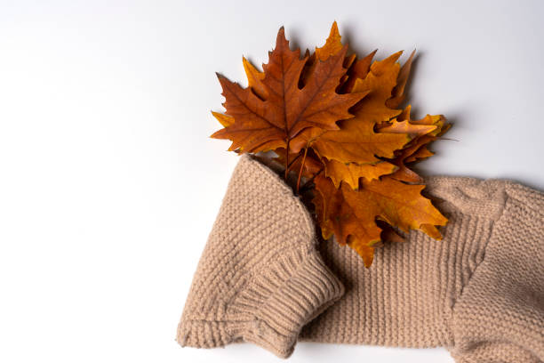 istock a sweater with a bunch of autumn leaves on it 1445666896