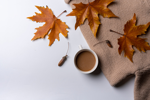 autumn leaves and a cup of coffee on a white background with space for text or an image to be used