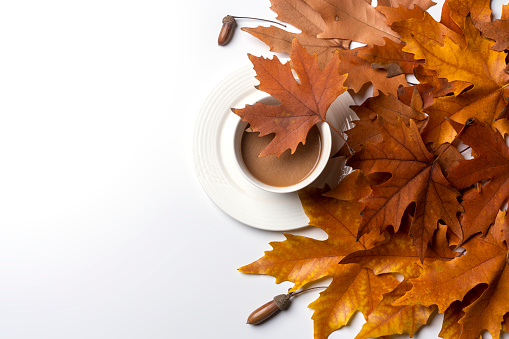 autumn leaves and a cup on a white background with space for your text or image to be used in this article