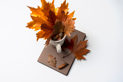 autumn leaves in a coffee cup on a white surface with an orange and yellow maple leaf next to the mug