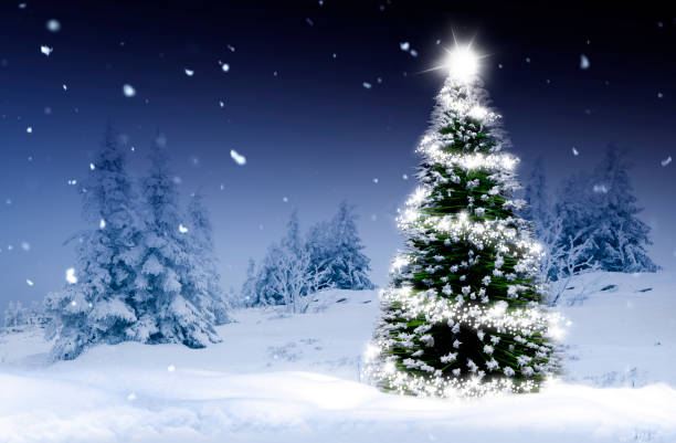 istock Shining Christmas tree in a snowy winter forest 1445667496