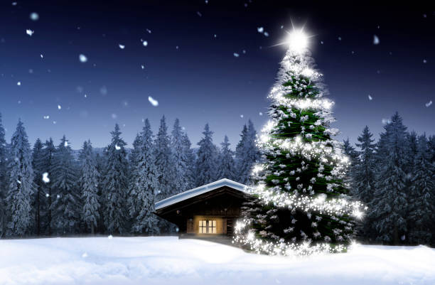 istock Shining Christmas tree in a snowy winter forest 1445667511