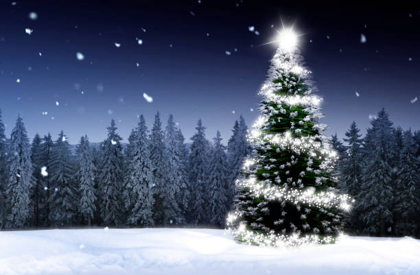 istock Shining Christmas tree in a snowy winter forest 1445667539