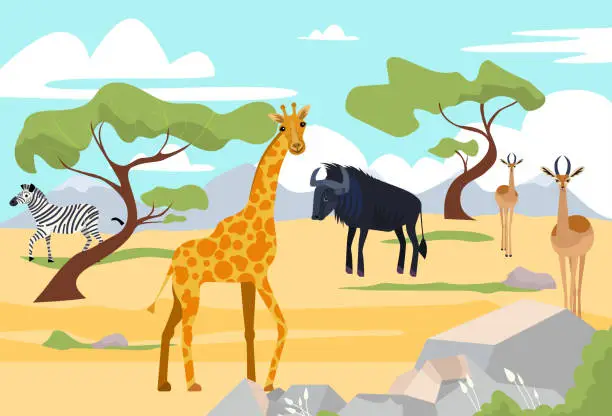 Vector illustration of Outdoor wildland savannah landscape, africa wildlife animal giraffe, buffalo and zebra nature reserve park flat vector illustration.