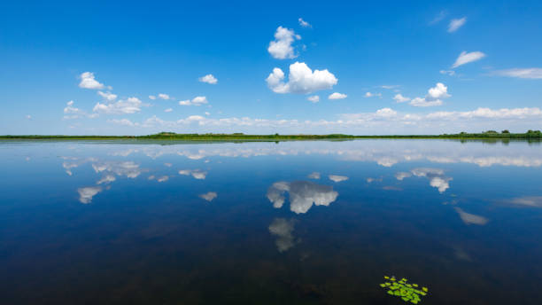 reflejo de las nubes en el delta del danubio - cloud morning delta landscape fotografías e imágenes de stock