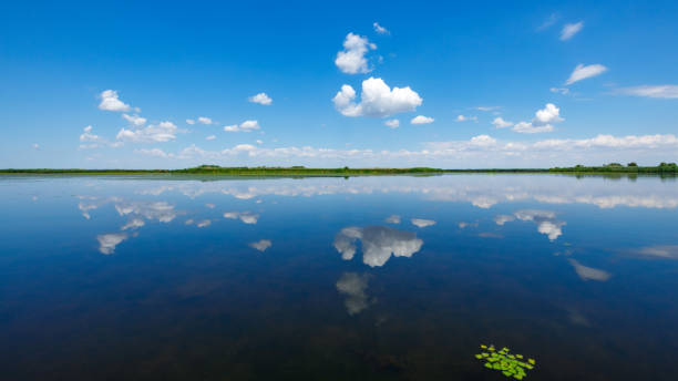 reflexão de nuvens no delta do danúbio - cloud morning delta landscape - fotografias e filmes do acervo