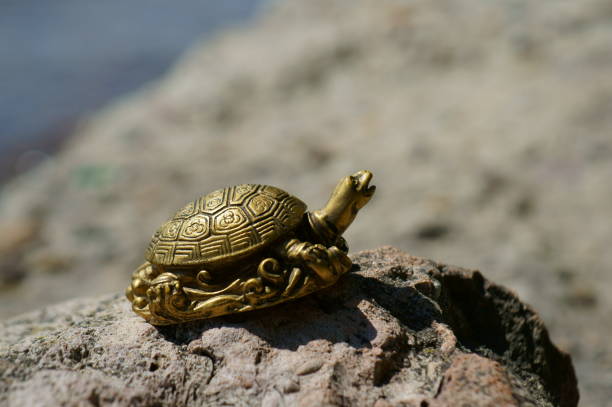 istock A metal turtle on the riverbank. An esoteric symbol. 1445670870