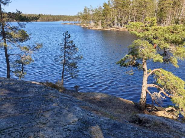 istock A lake in Sweden 1445672686