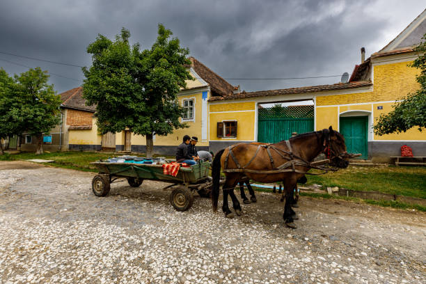horse and carriage in the Village of Viscri in Romania stock photo