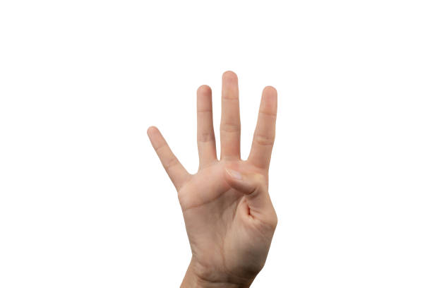 istock Female hand counting four on white background 1445680763