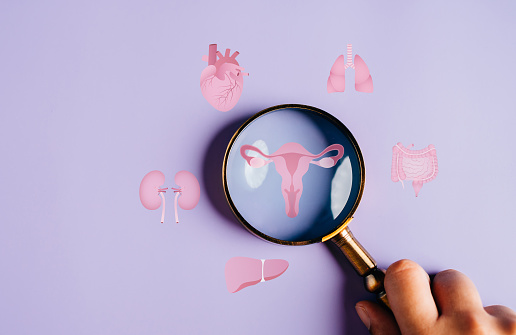 uterus female reproductive system, women health, PCOS, ovary gynecologic and cervical cancer, magnifier focus to uterus icon, Healthy feminine concept