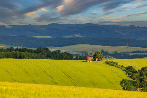 Windmill in Chvalkovice, Southern Moravia, Czech Republic