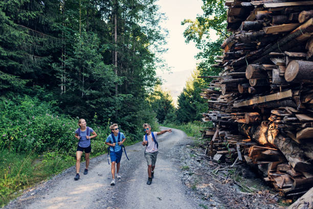 três adolescentes caminhando nos alpes no ensolarado dia de verão - group of people journey effort travel destinations - fotografias e filmes do acervo