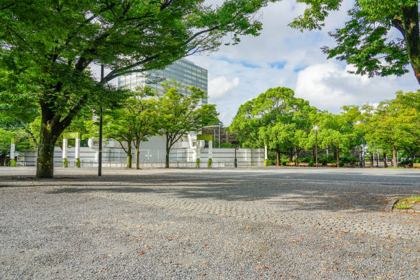 代々木公園イベントスクエア(東京都渋谷区) - 広場 ストックフォトと画像