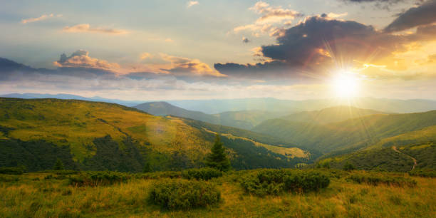 istock carpathian mountain range in summer at sunset 1445698062