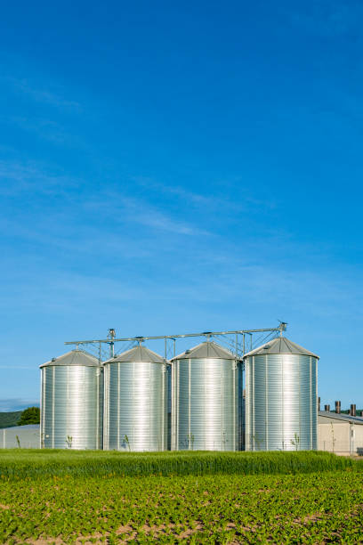 istock silos in beautiful landscape 1445698391