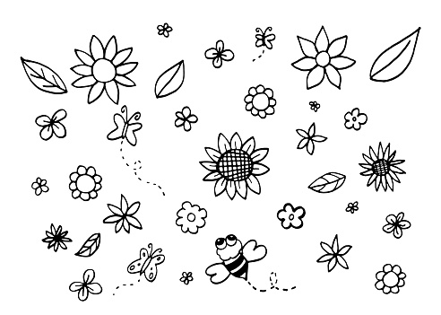 cute Flowers leaves bee and butterfly doodle Hand Drawn isolated on white background.