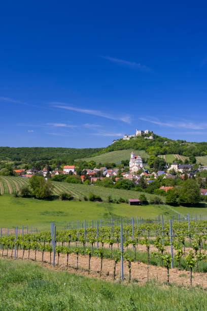 istock Falkenstein ruins and town with vineyard, Lower Austria, Austria 1445698918