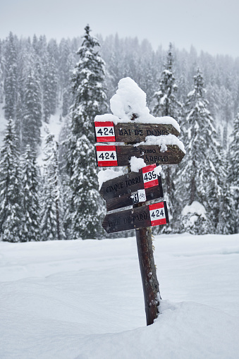 Signpost covered with the snow in the dolomites. In the background pine trees are covered with snow.