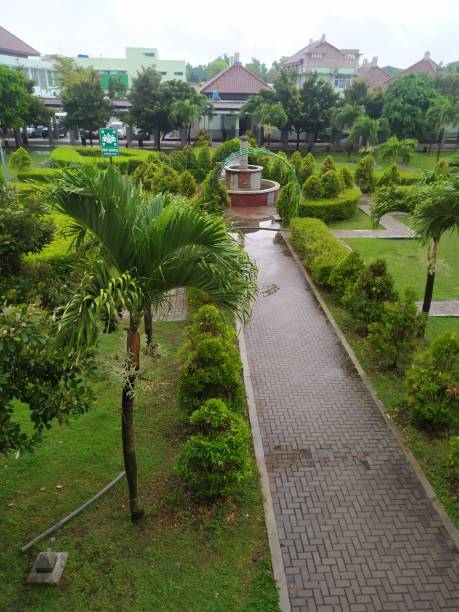 istock Morning after rain 1445699935
