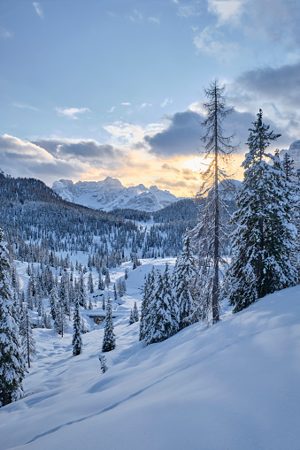 Sunset in the mountains around the Tre Cime in Italy. The ground and the trees are covered with a thick layer of snow. There are some clouds in the sky and the sun almost goes behind the mountains.