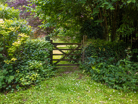 Gate In A Lush Green Garden