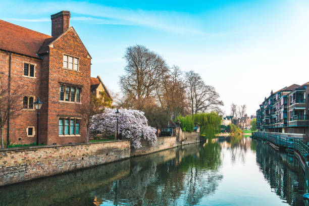 istock Traditional buildings near Cam River Cambridge 1445703680