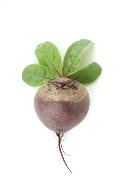 istock Ripe red beet isolated on white background 1445711642