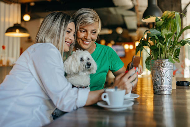 istock Let me show you this 1445714334