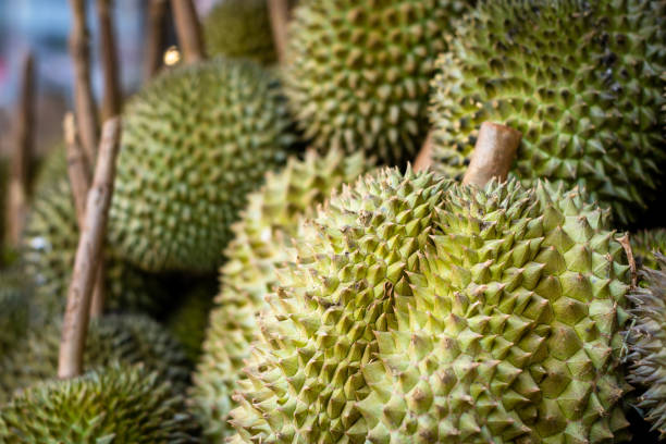 istock Durian fruit in Thailand market. 1445716014