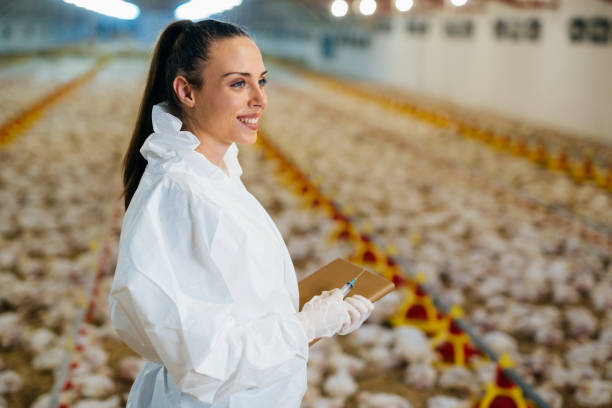 istock veterinarian posing in chicken farm 1445716644