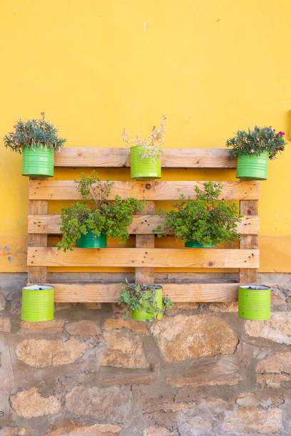 istock A beautiful flower composition made from recycled objects that serve as decoration 1445718880