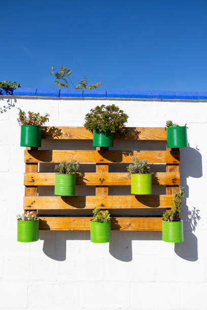 istock A beautiful flower composition made from recycled objects that serve as decoration 1445718978