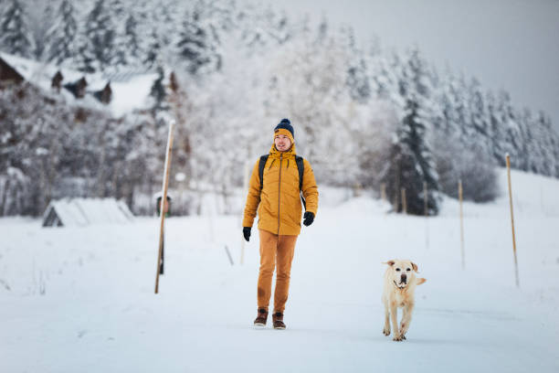 Man with dog during winter day. Pet owner walking on snowy road with his cute labrador retriever.
