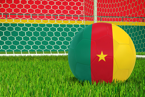 Cameroon Football in Stadium