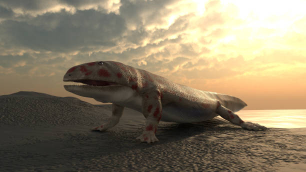 Prehistoric amphibian reptile 3d illustration of a prehistoric amphibian reptile amphibian stock pictures, royalty-free photos & images