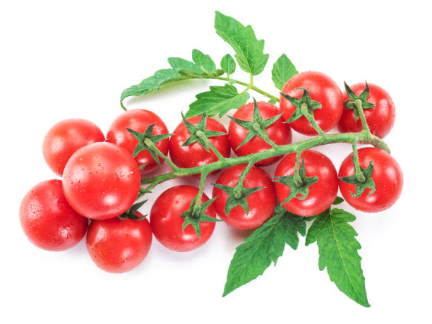 istock Branch of cherry tomato on the white background. 1445724102
