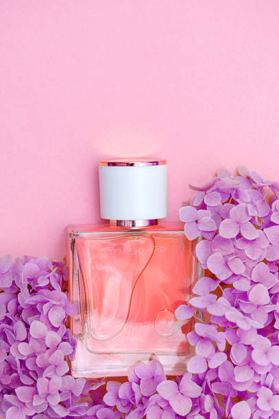 istock Perfume bottle with flowers on a pink background. 1445725729