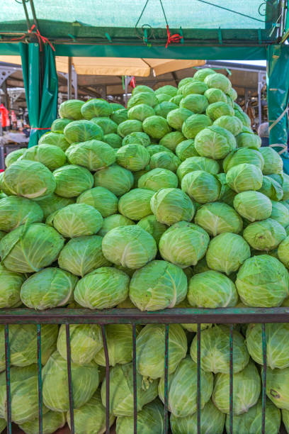 istock Cabbage Farmers Market 1445726750