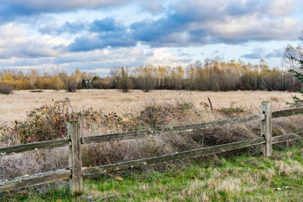 istock Kent Washington Autumn 9 1445729080