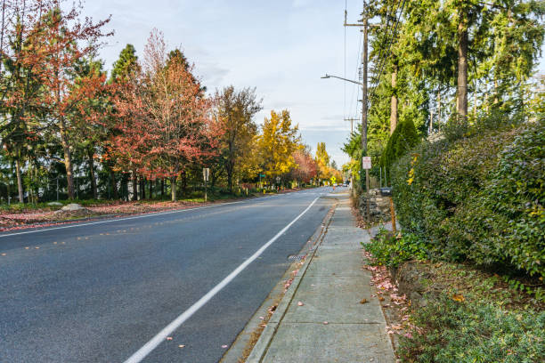 istock Seatac Street Autumn Trees 6 1445729194
