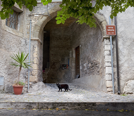 Black cat in medieval village Ciciliano, Lazio Italy