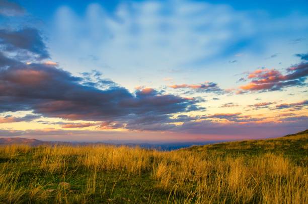 istock Dramatic shot of a field at sunset 1445733007