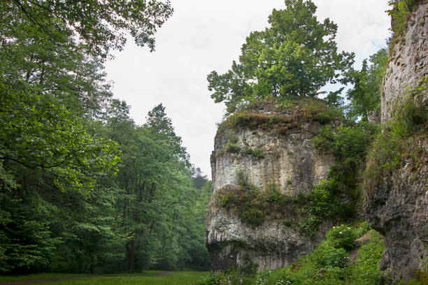 istock landscape with rocks and forest 1445734387