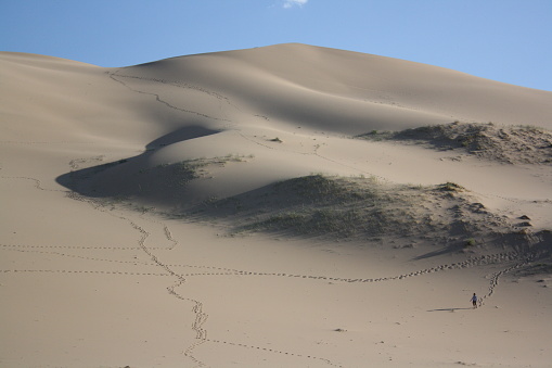 Hiking alone in the serenity of the huge Khongor sand dunes of Gobi Desert, Umnugovi region, Mongolia. The surrounding desert is quiet and windy each day. It is cold in the nights during summertime.