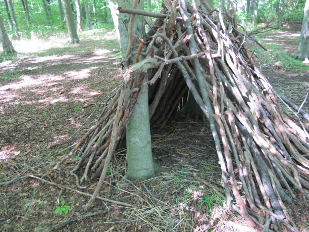 istock Self-constructed bushcraft shelter from branches in forest 1445735123