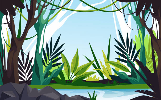 Jungle landscape or rainforest scape vector banner Jungle landscape or rainforest scape, vector background or banner. Cartoon tropical dense forest with lianes, tree ferns, exotic foliages, tangled vegetation and river. Subtropical jungle nature. tree fern stock illustrations